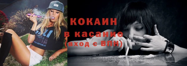 эйфоретик Дмитров