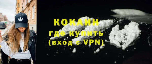 ешки Дмитриев