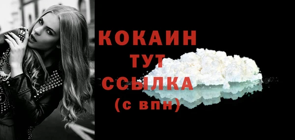 эйфоретик Дмитров