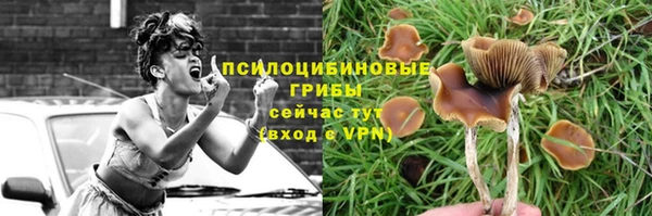 ешки Дмитриев